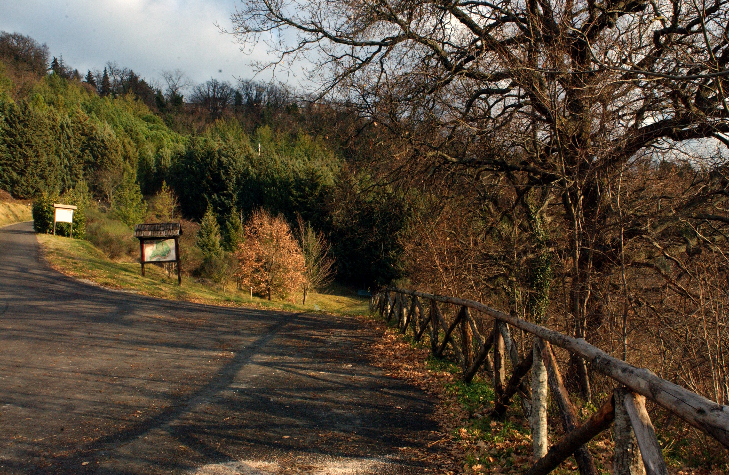 L'arboreto Teatro Dimora - Il parco
