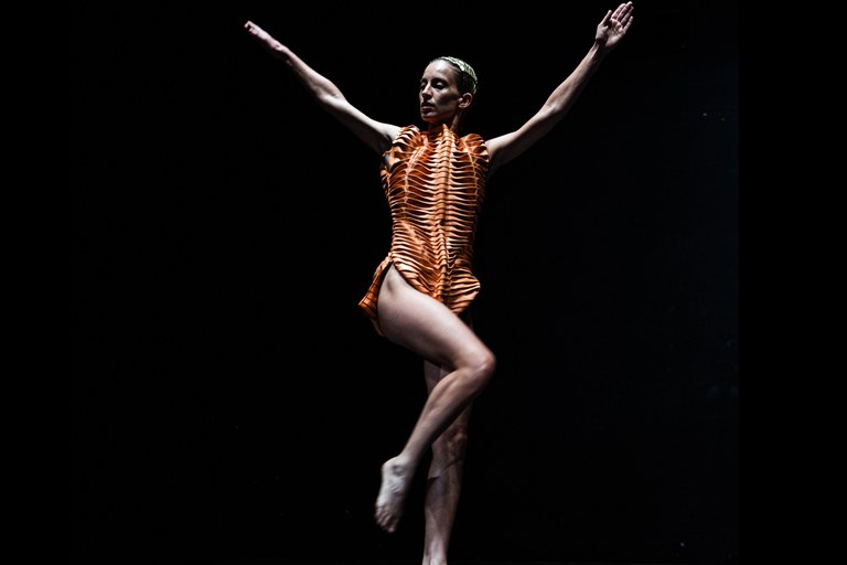 4 Daria Greco Crangon Crangon.jpg