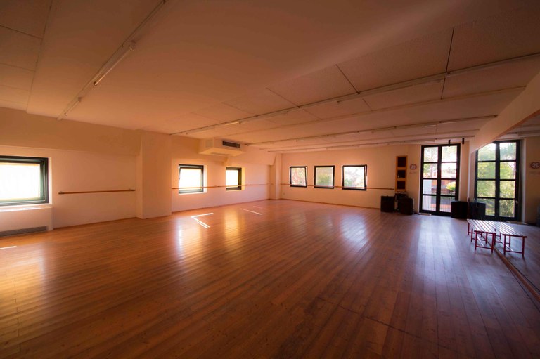 Centrodanza 1