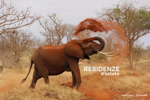 Residenze d'Estate per CapoTrave/Kilowatt
